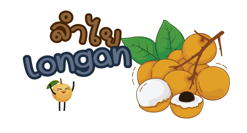 ลําไย ภาษาอังกฤษ longan